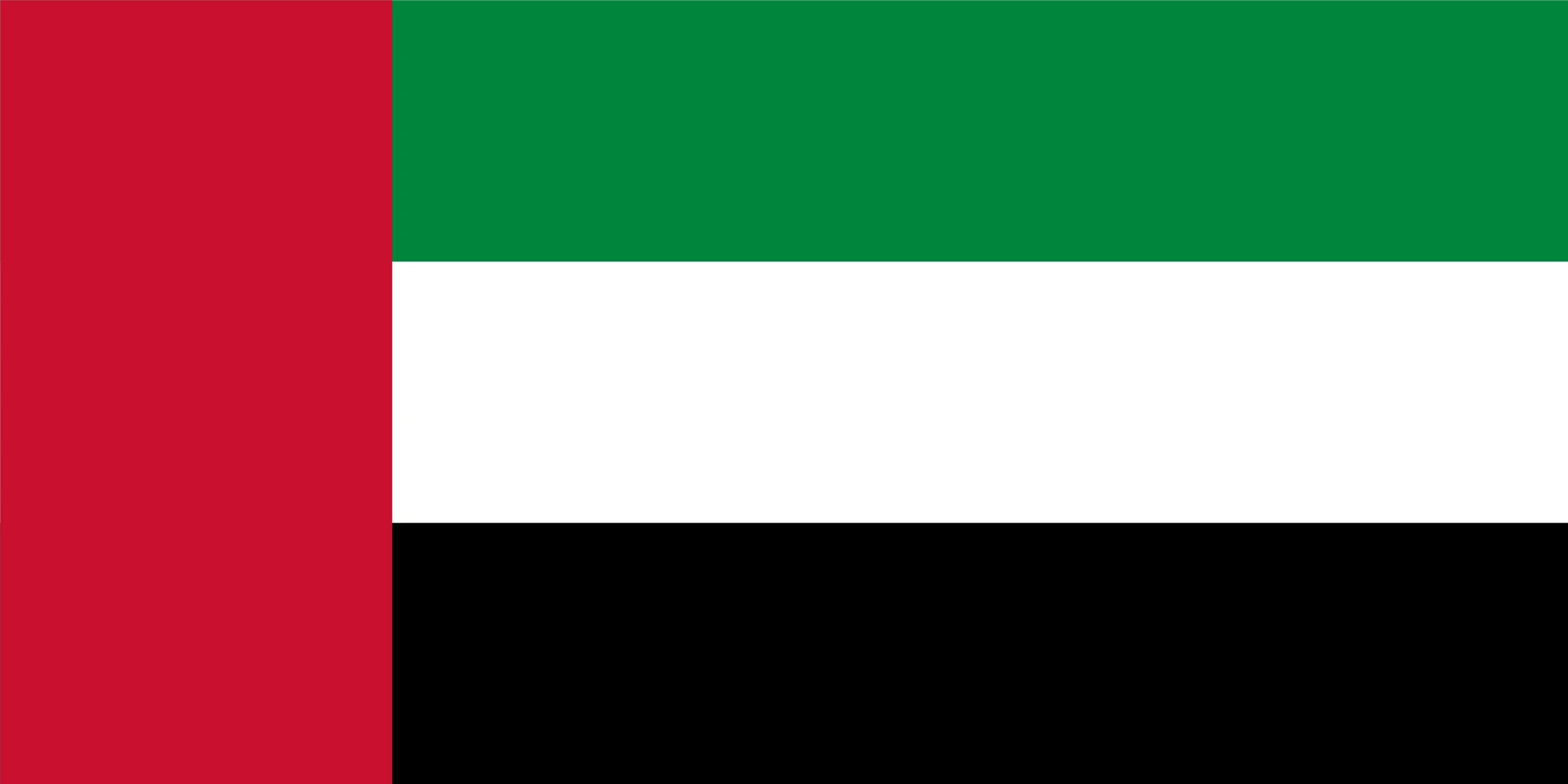 UAE FLAG